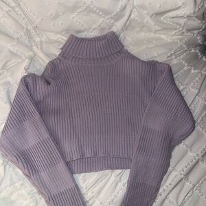 Urban Outfitters Purple Ribbed Sweater